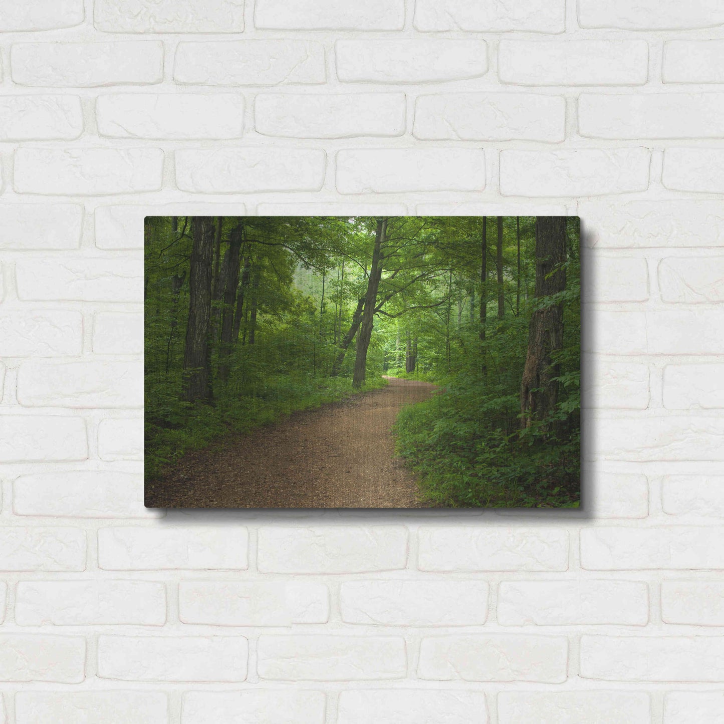 Luxe Metal Art 'Summer Walk' by David Hammond, Metal Wall Art,24x16