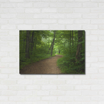 Luxe Metal Art 'Summer Walk' by David Hammond, Metal Wall Art,36x24