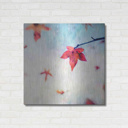 Luxe Metal Art 'All Fall Down' by Dawn D Hanna, Metal Wall Art,36x36