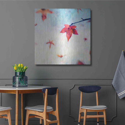 Luxe Metal Art 'All Fall Down' by Dawn D Hanna, Metal Wall Art,36x36