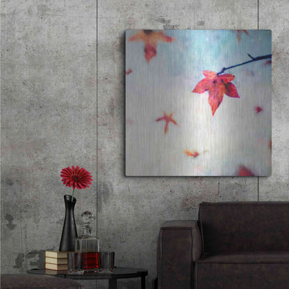 Luxe Metal Art 'All Fall Down' by Dawn D Hanna, Metal Wall Art,36x36