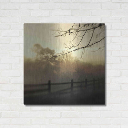 Luxe Metal Art 'At Dawn' by Dawn D Hanna, Metal Wall Art,36x36