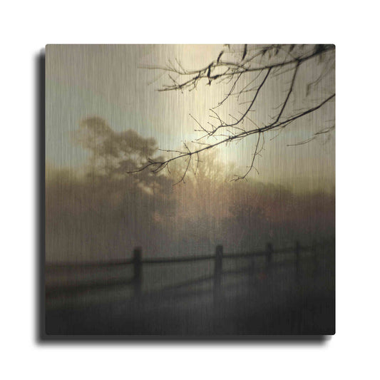 Luxe Metal Art 'At Dawn' by Dawn D Hanna, Metal Wall Art