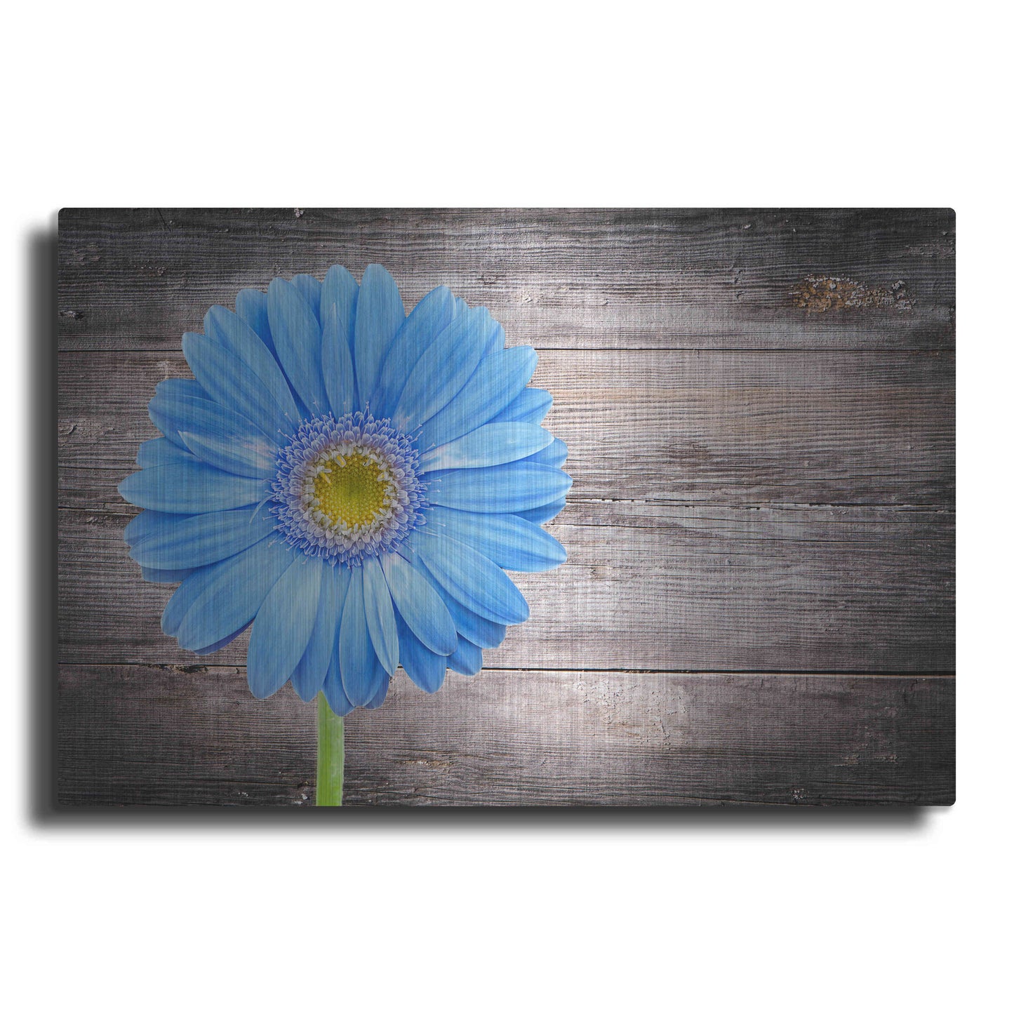 'Serenity' Metal Wall Art