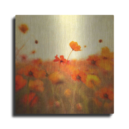 Luxe Metal Art 'Orange Happiness' by Dawn D Hanna, Metal Wall Art