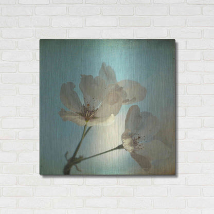 Luxe Metal Art 'Spring Sings' by Dawn D Hanna, Metal Wall Art,36x36