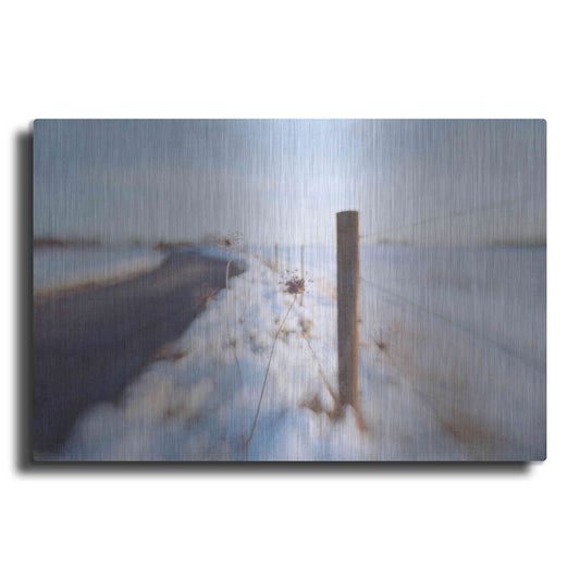 Luxe Metal Art 'Walking on the Edge of Winter' by Dawn D Hanna, Metal Wall Art