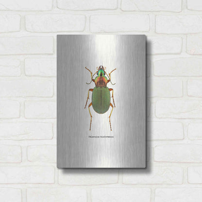 Luxe Metal Art 'Beetle Green' by GraphINC, Metal Wall Art,12x16