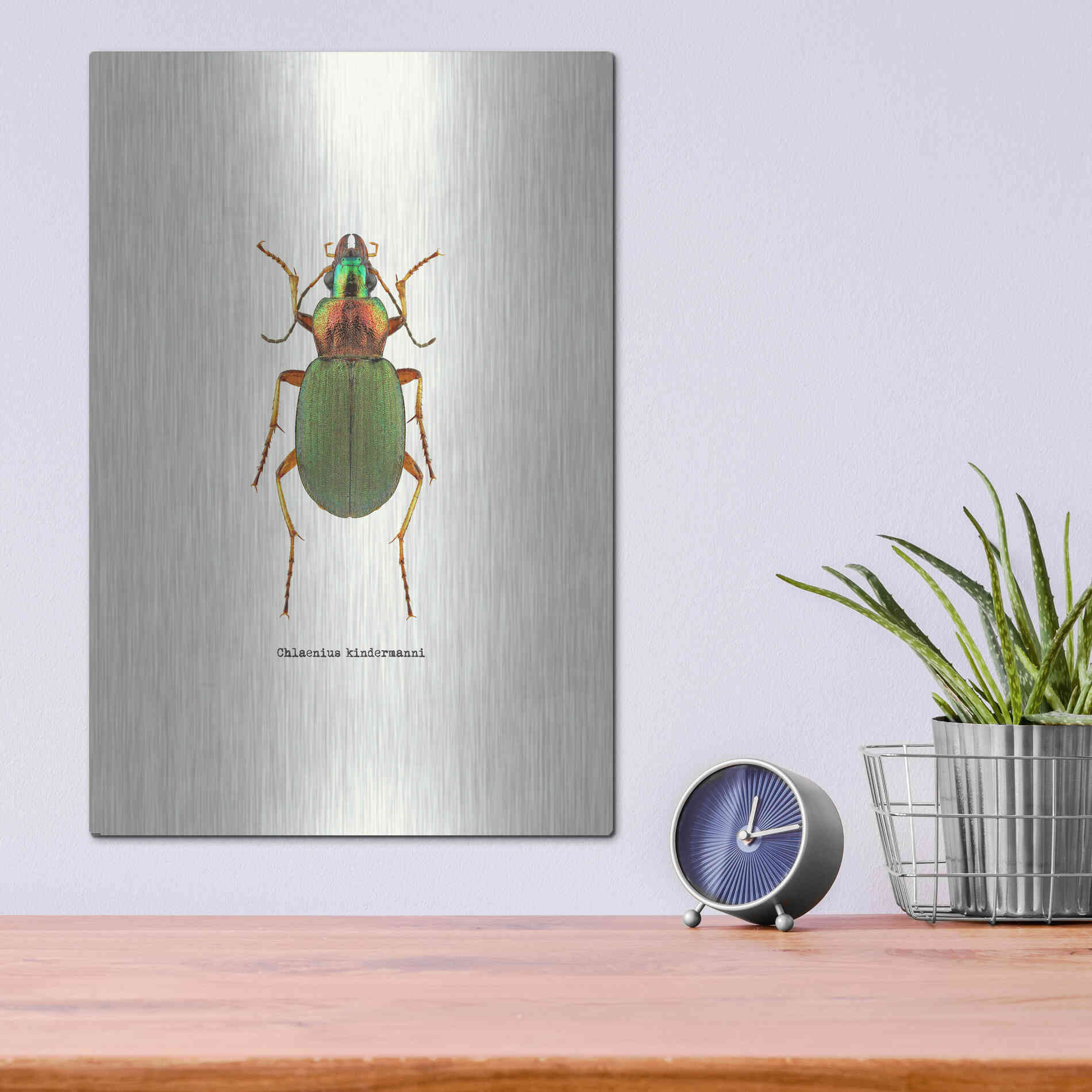 Luxe Metal Art 'Beetle Green' by GraphINC, Metal Wall Art,12x16