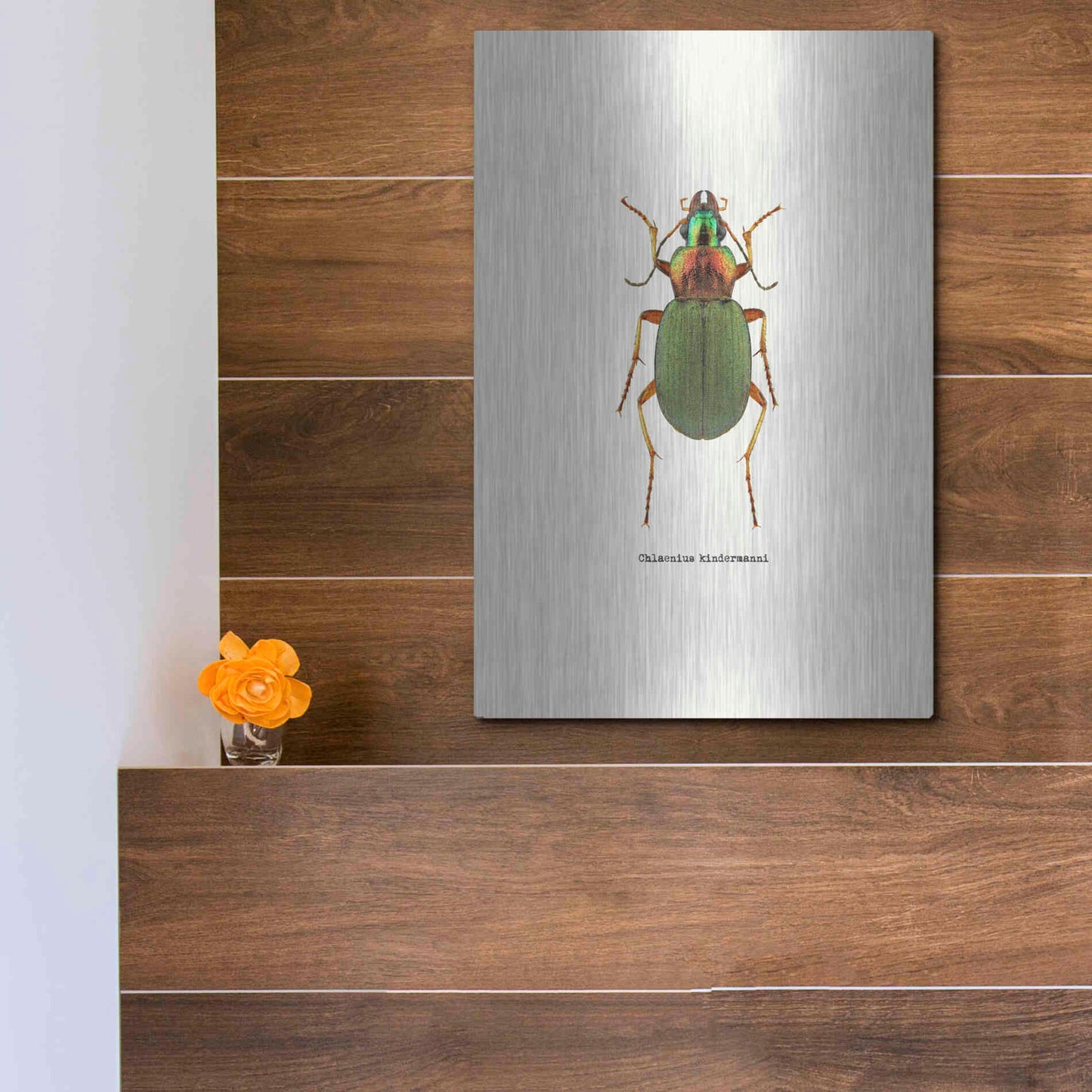 Luxe Metal Art 'Beetle Green' by GraphINC, Metal Wall Art,12x16
