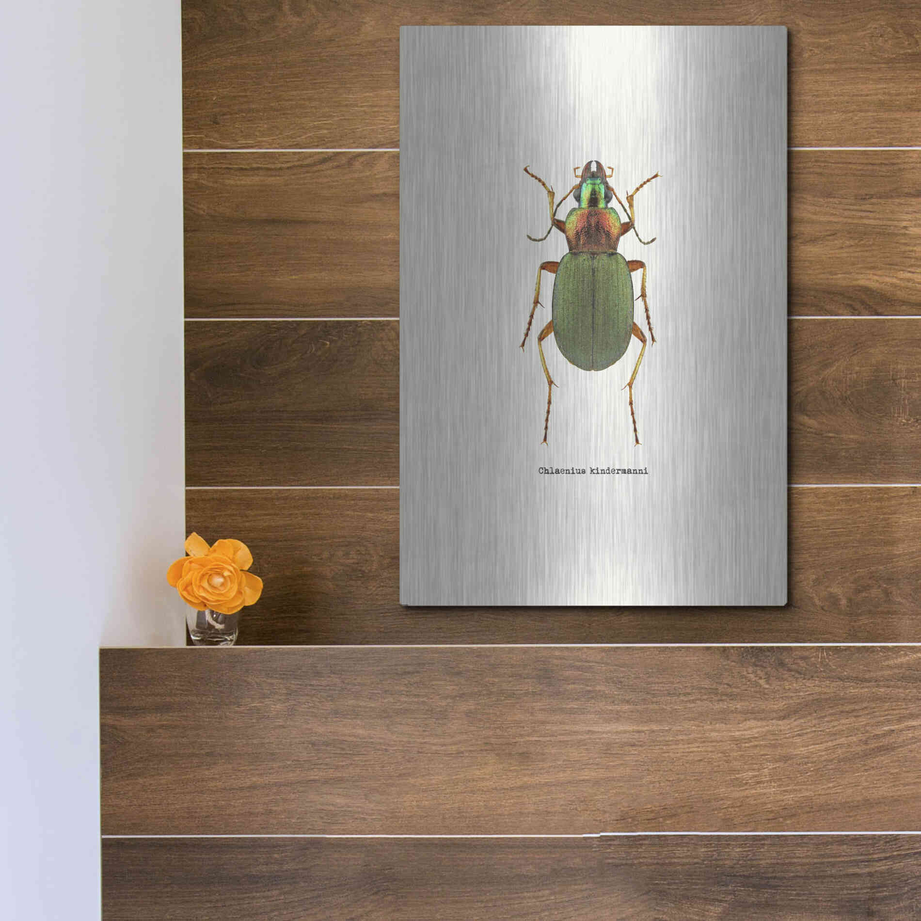 Luxe Metal Art 'Beetle Green' by GraphINC, Metal Wall Art,12x16