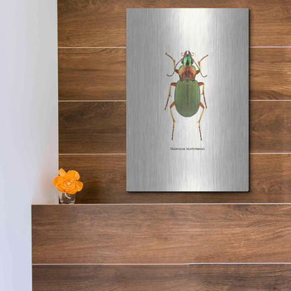 Luxe Metal Art 'Beetle Green' by GraphINC, Metal Wall Art,12x16
