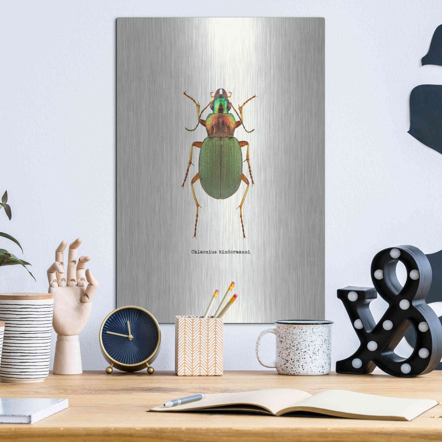 Luxe Metal Art 'Beetle Green' by GraphINC, Metal Wall Art,12x16