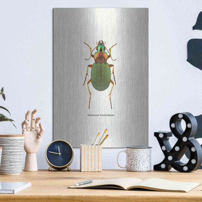 Luxe Metal Art 'Beetle Green' by GraphINC, Metal Wall Art,12x16