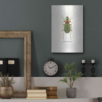 Luxe Metal Art 'Beetle Green' by GraphINC, Metal Wall Art,12x16