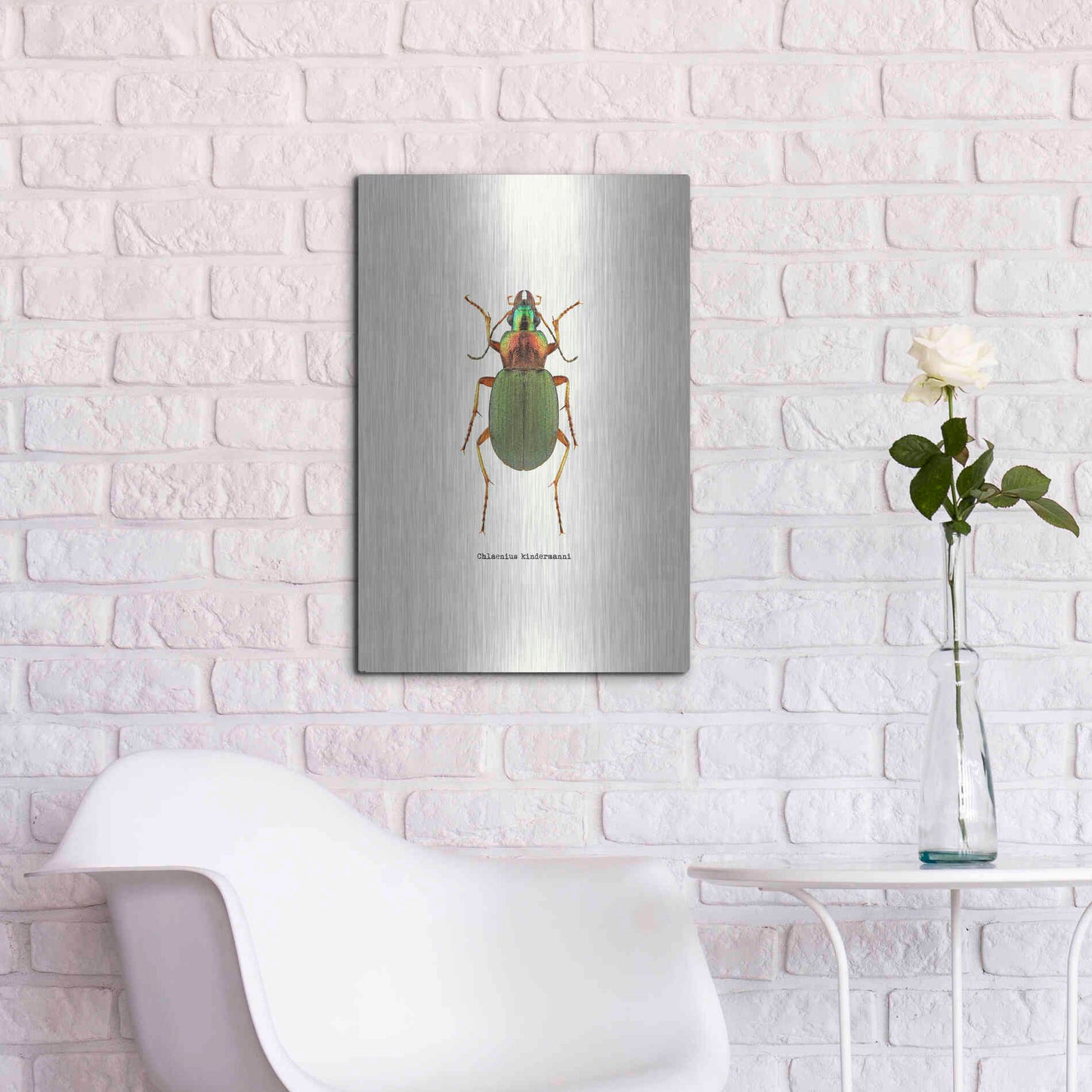 Luxe Metal Art 'Beetle Green' by GraphINC, Metal Wall Art,16x24