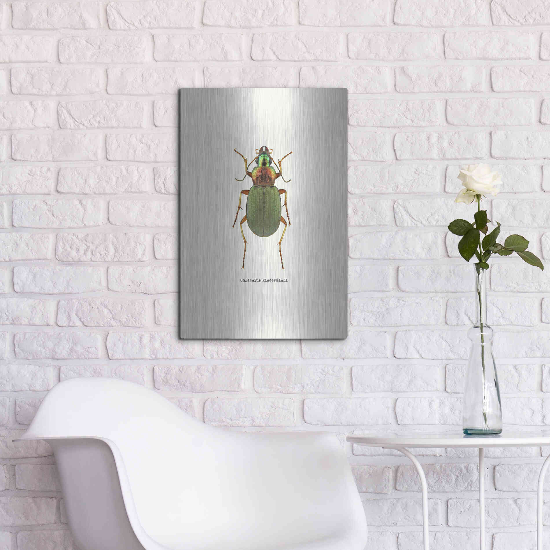 Luxe Metal Art 'Beetle Green' by GraphINC, Metal Wall Art,16x24