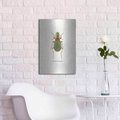 Luxe Metal Art 'Beetle Green' by GraphINC, Metal Wall Art,16x24