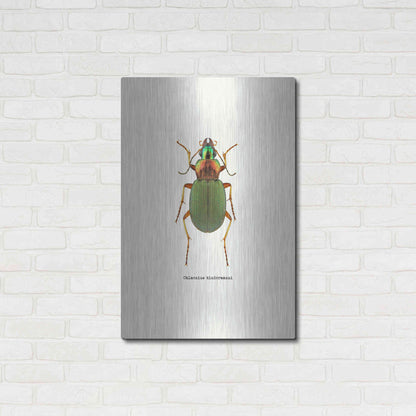 Luxe Metal Art 'Beetle Green' by GraphINC, Metal Wall Art,24x36