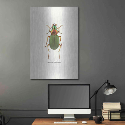 Luxe Metal Art 'Beetle Green' by GraphINC, Metal Wall Art,24x36