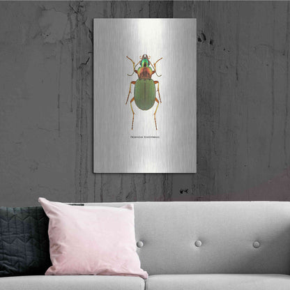 Luxe Metal Art 'Beetle Green' by GraphINC, Metal Wall Art,24x36