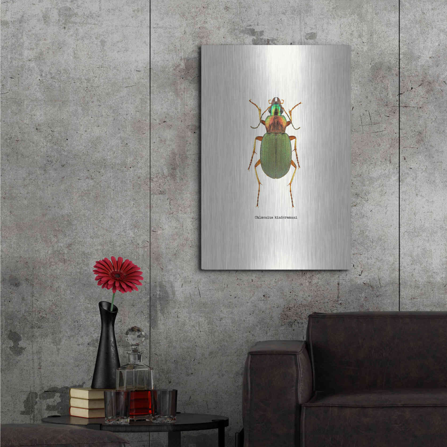 Luxe Metal Art 'Beetle Green' by GraphINC, Metal Wall Art,24x36