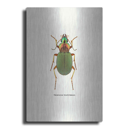 Luxe Metal Art 'Beetle Green' by GraphINC, Metal Wall Art