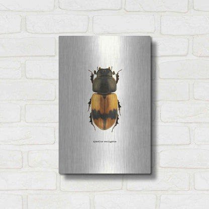 Luxe Metal Art 'Beetle Orange' by GraphINC, Metal Wall Art,12x16