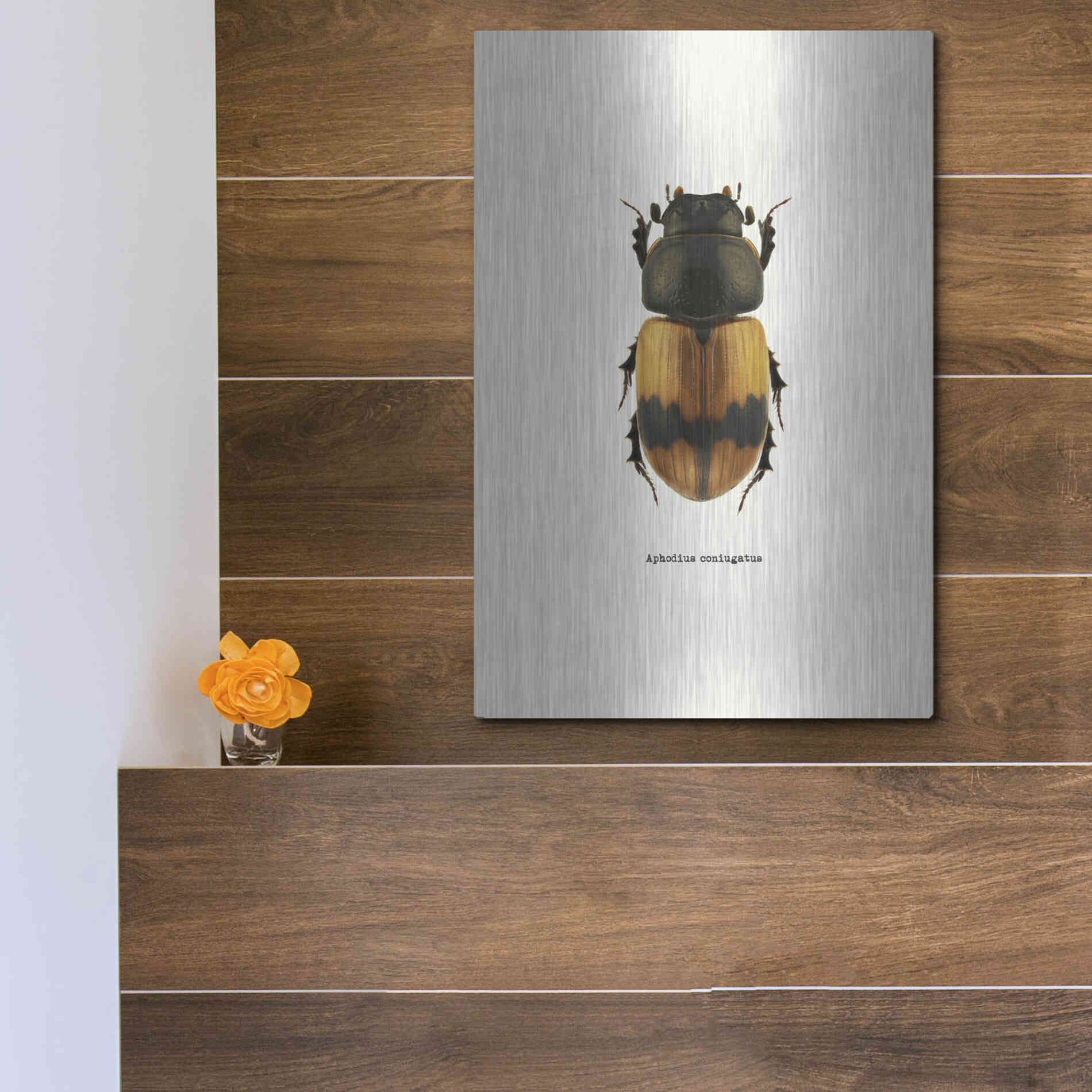 Luxe Metal Art 'Beetle Orange' by GraphINC, Metal Wall Art,12x16