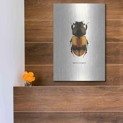 Luxe Metal Art 'Beetle Orange' by GraphINC, Metal Wall Art,12x16