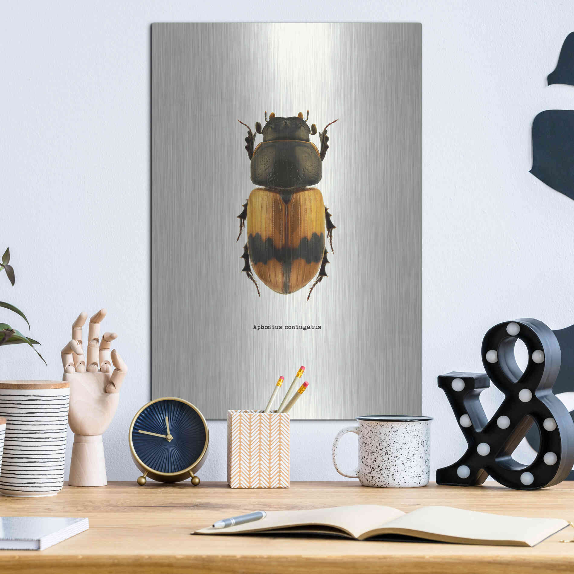 Luxe Metal Art 'Beetle Orange' by GraphINC, Metal Wall Art,12x16