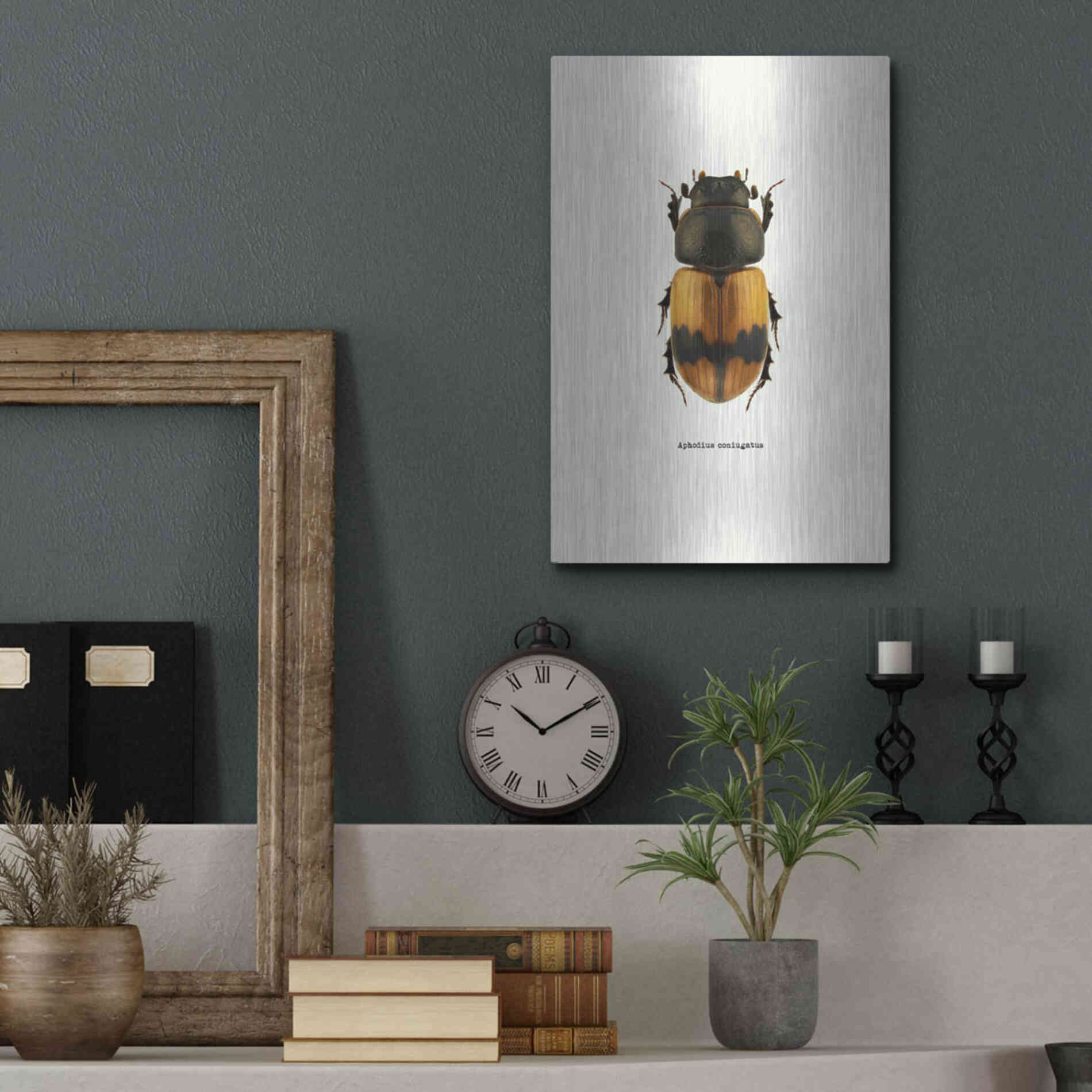 Luxe Metal Art 'Beetle Orange' by GraphINC, Metal Wall Art,12x16