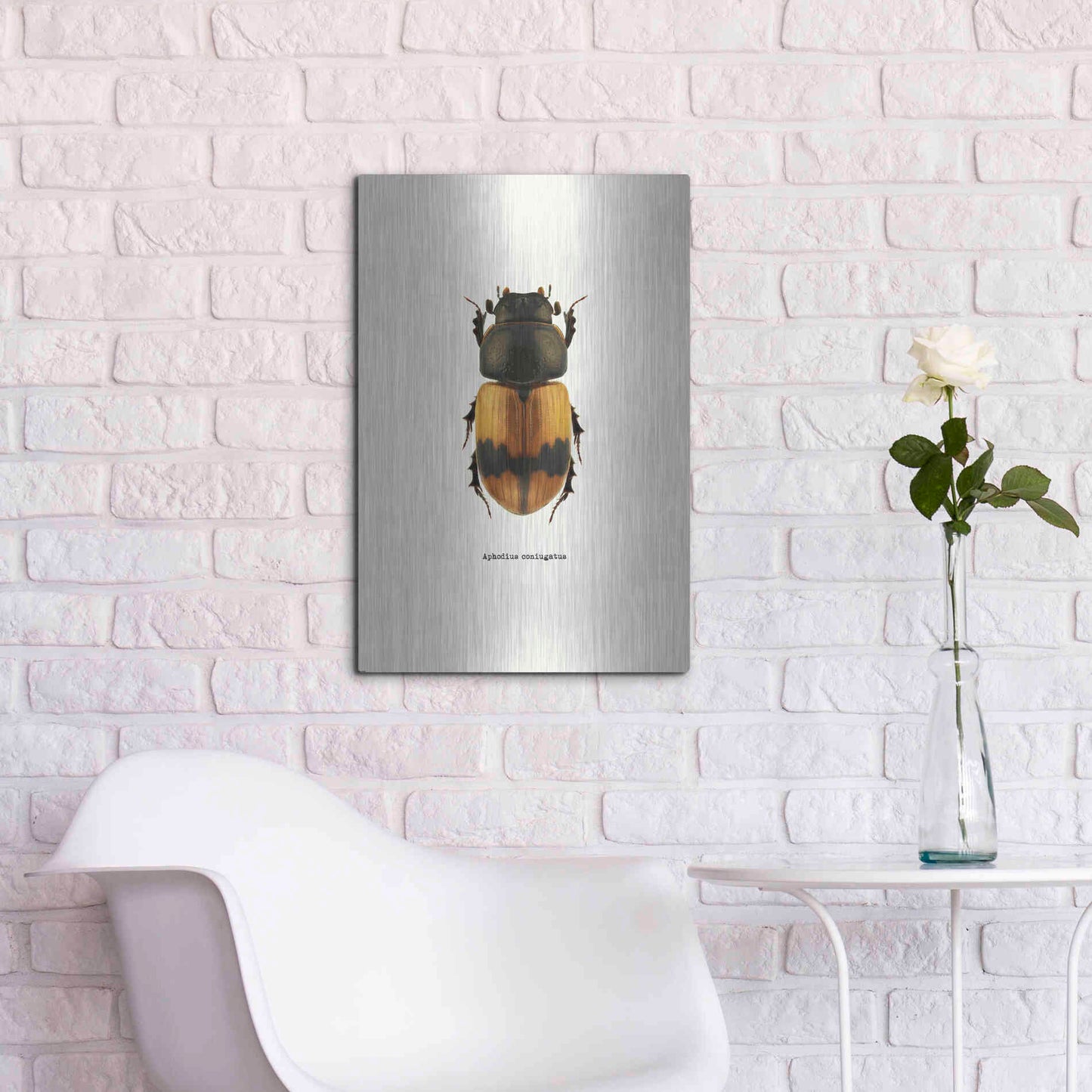 Luxe Metal Art 'Beetle Orange' by GraphINC, Metal Wall Art,16x24