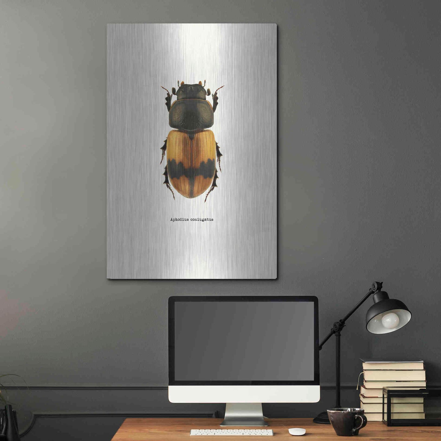 Luxe Metal Art 'Beetle Orange' by GraphINC, Metal Wall Art,24x36