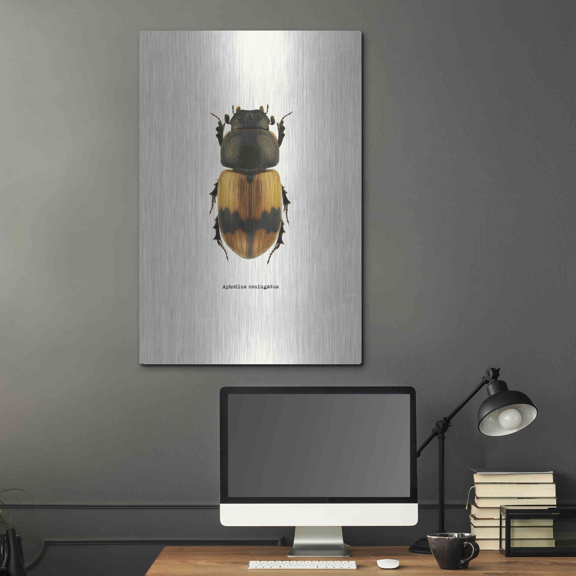 Luxe Metal Art 'Beetle Orange' by GraphINC, Metal Wall Art,24x36