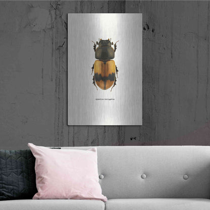 Luxe Metal Art 'Beetle Orange' by GraphINC, Metal Wall Art,24x36