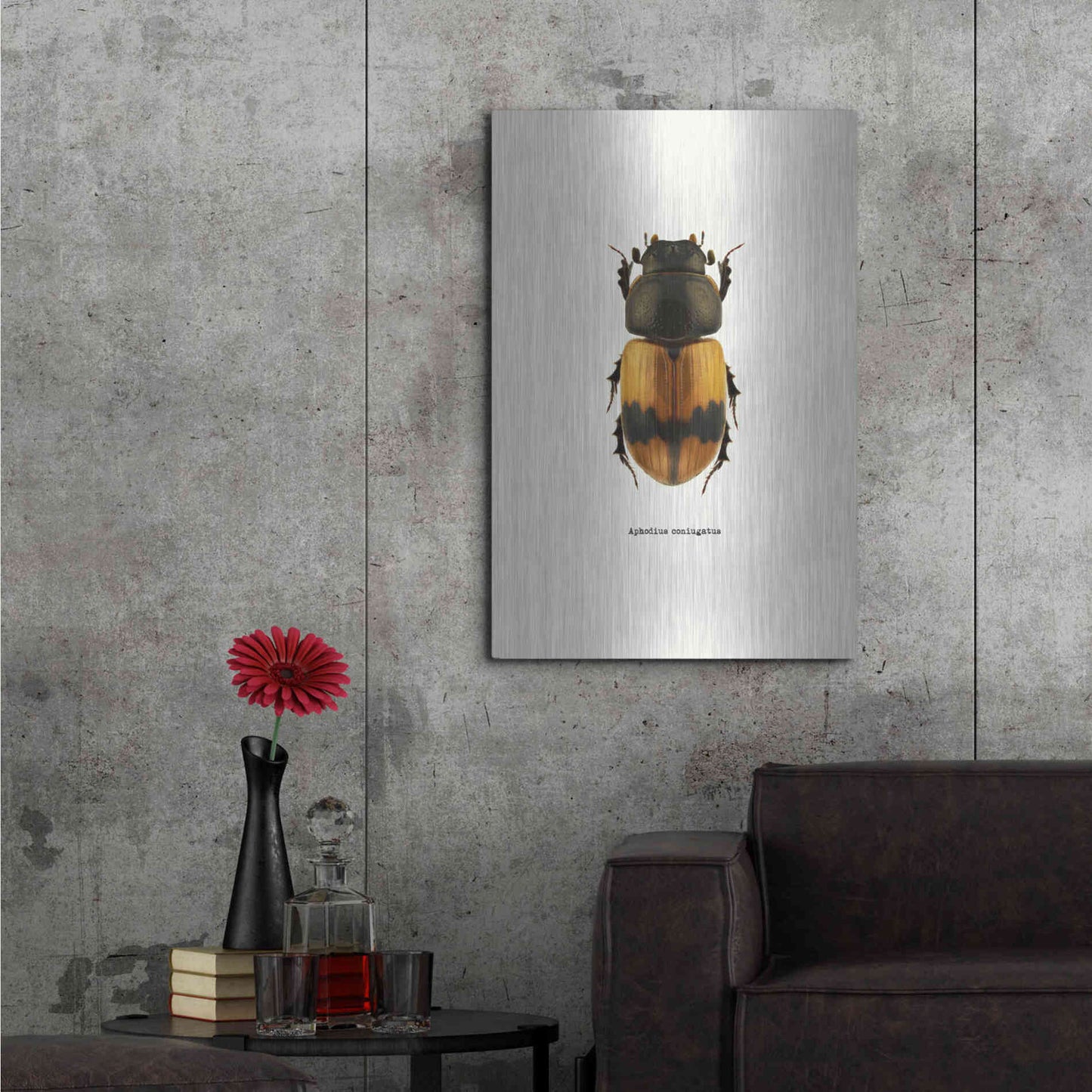 Luxe Metal Art 'Beetle Orange' by GraphINC, Metal Wall Art,24x36