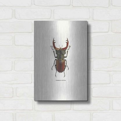 Luxe Metal Art 'Beetle Red' by GraphINC, Metal Wall Art,12x16