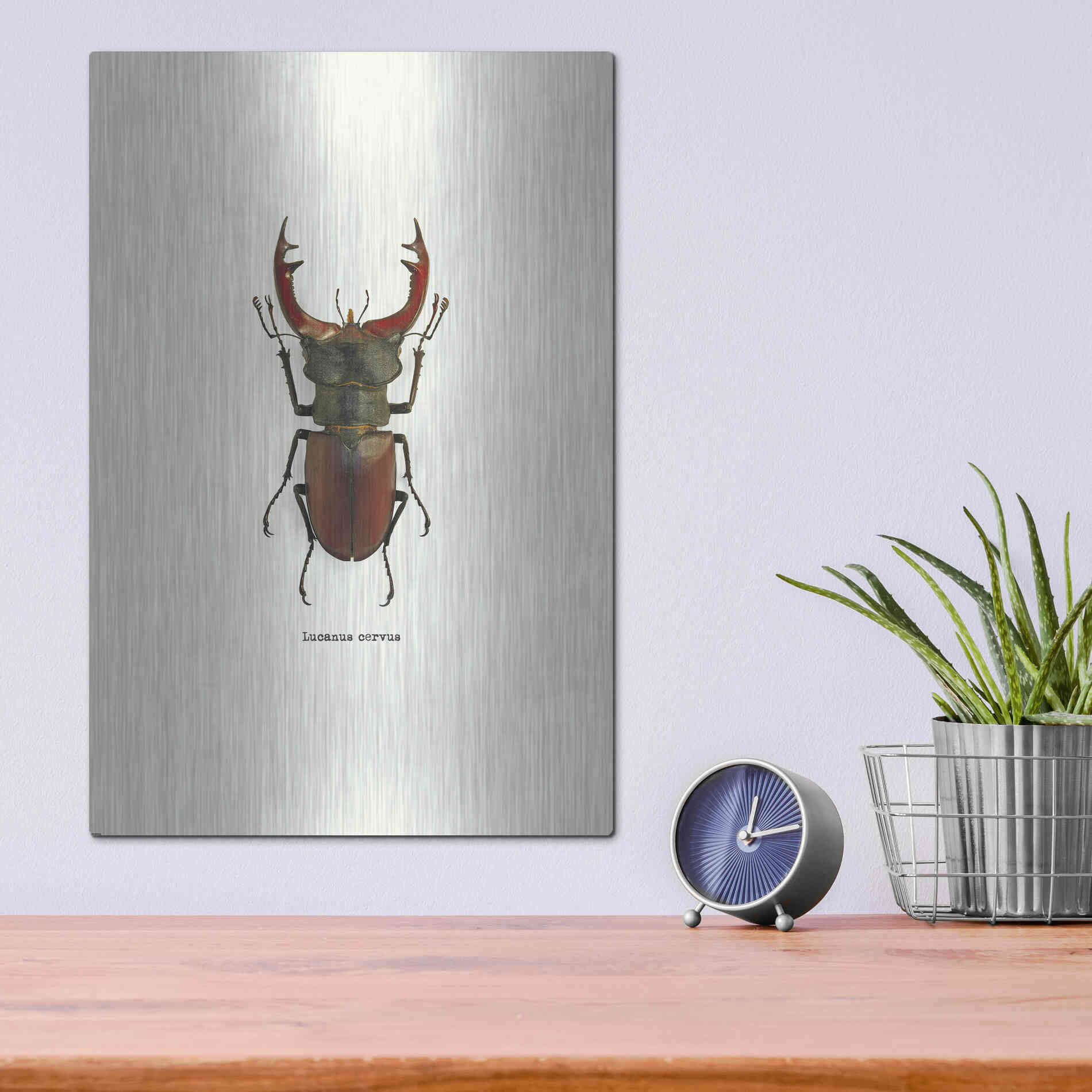 Luxe Metal Art 'Beetle Red' by GraphINC, Metal Wall Art,12x16