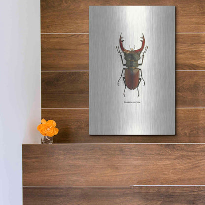 Luxe Metal Art 'Beetle Red' by GraphINC, Metal Wall Art,12x16