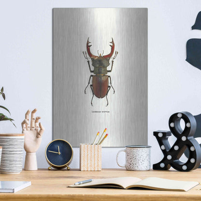 Luxe Metal Art 'Beetle Red' by GraphINC, Metal Wall Art,12x16