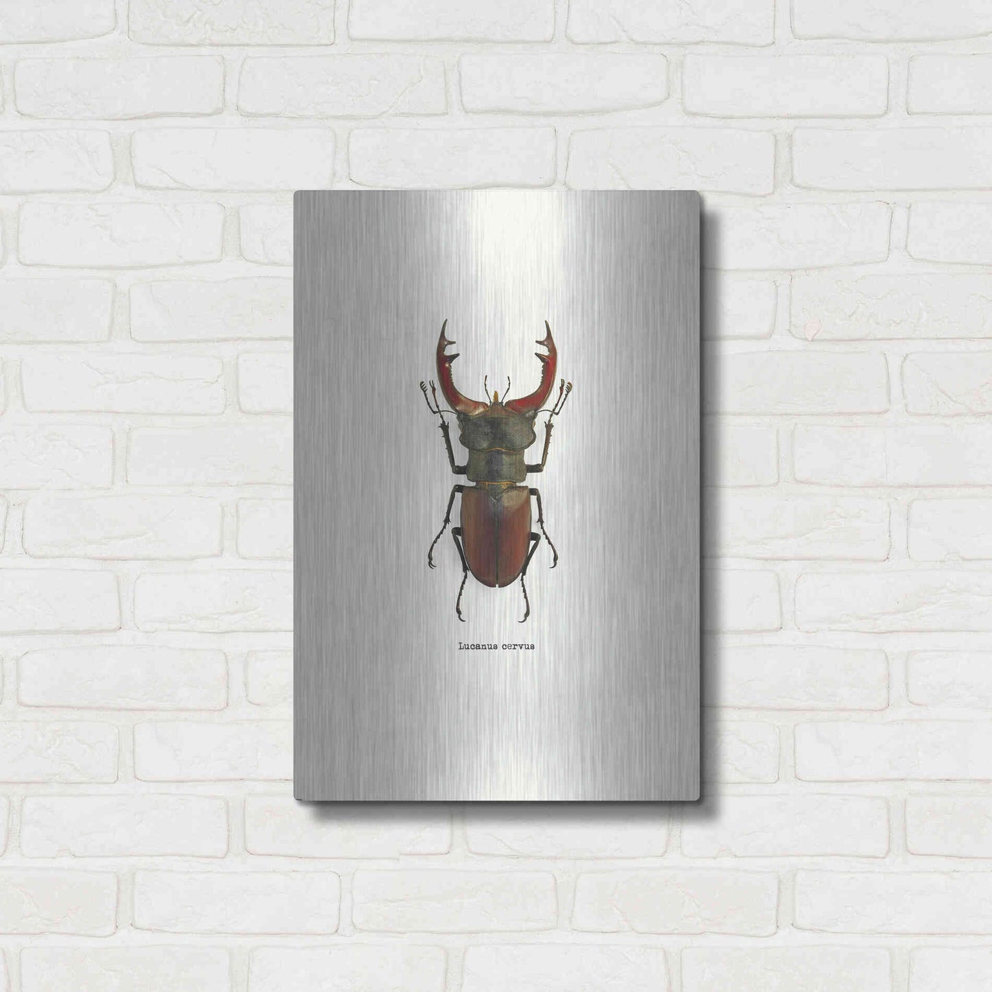 Luxe Metal Art 'Beetle Red' by GraphINC, Metal Wall Art,16x24