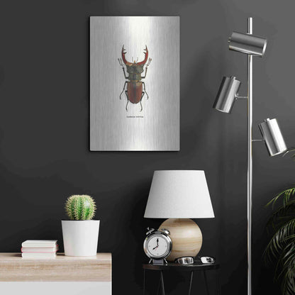 Luxe Metal Art 'Beetle Red' by GraphINC, Metal Wall Art,16x24