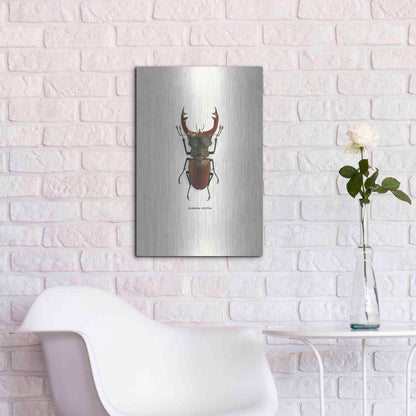 Luxe Metal Art 'Beetle Red' by GraphINC, Metal Wall Art,16x24