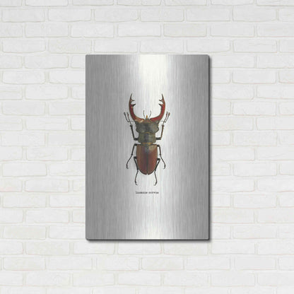 Luxe Metal Art 'Beetle Red' by GraphINC, Metal Wall Art,24x36