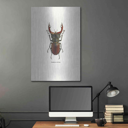 Luxe Metal Art 'Beetle Red' by GraphINC, Metal Wall Art,24x36