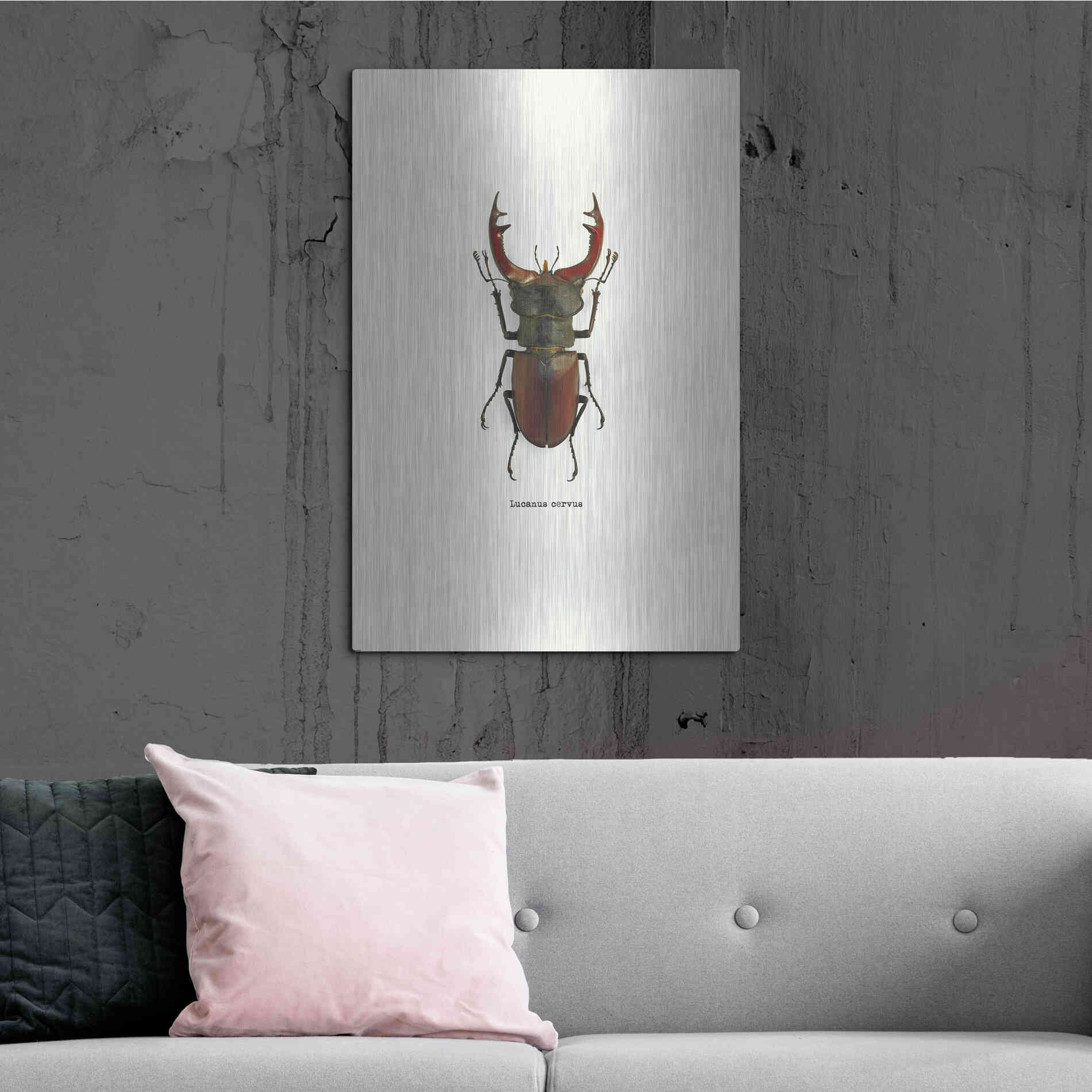 Luxe Metal Art 'Beetle Red' by GraphINC, Metal Wall Art,24x36