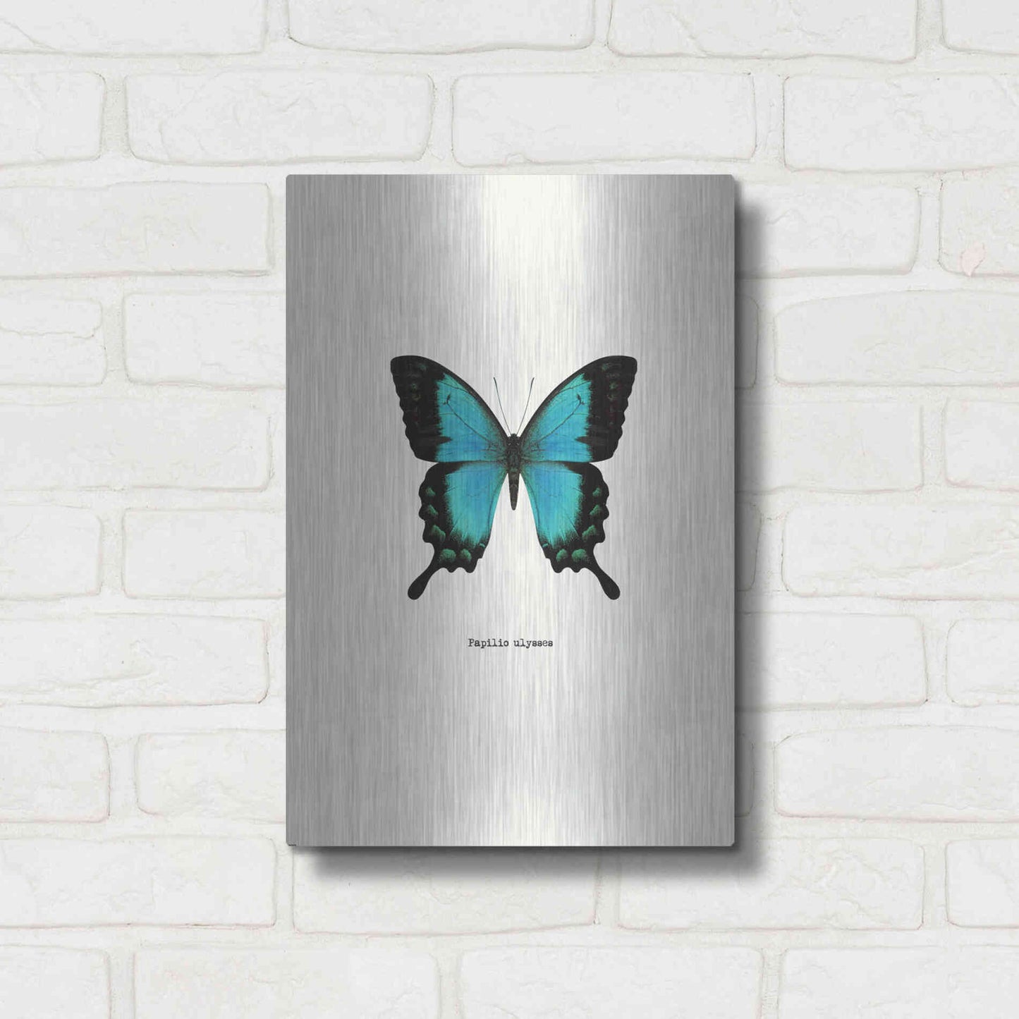 Luxe Metal Art 'Blue Butterfly' by GraphINC, Metal Wall Art,12x16