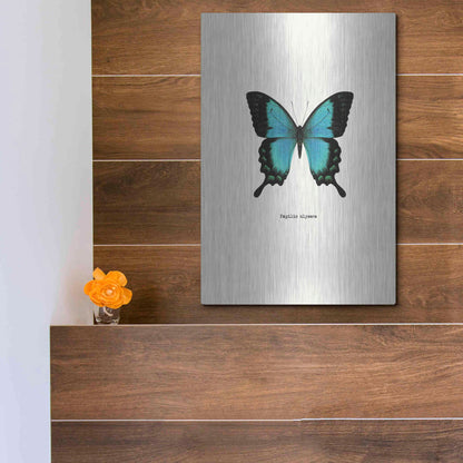 Luxe Metal Art 'Blue Butterfly' by GraphINC, Metal Wall Art,12x16