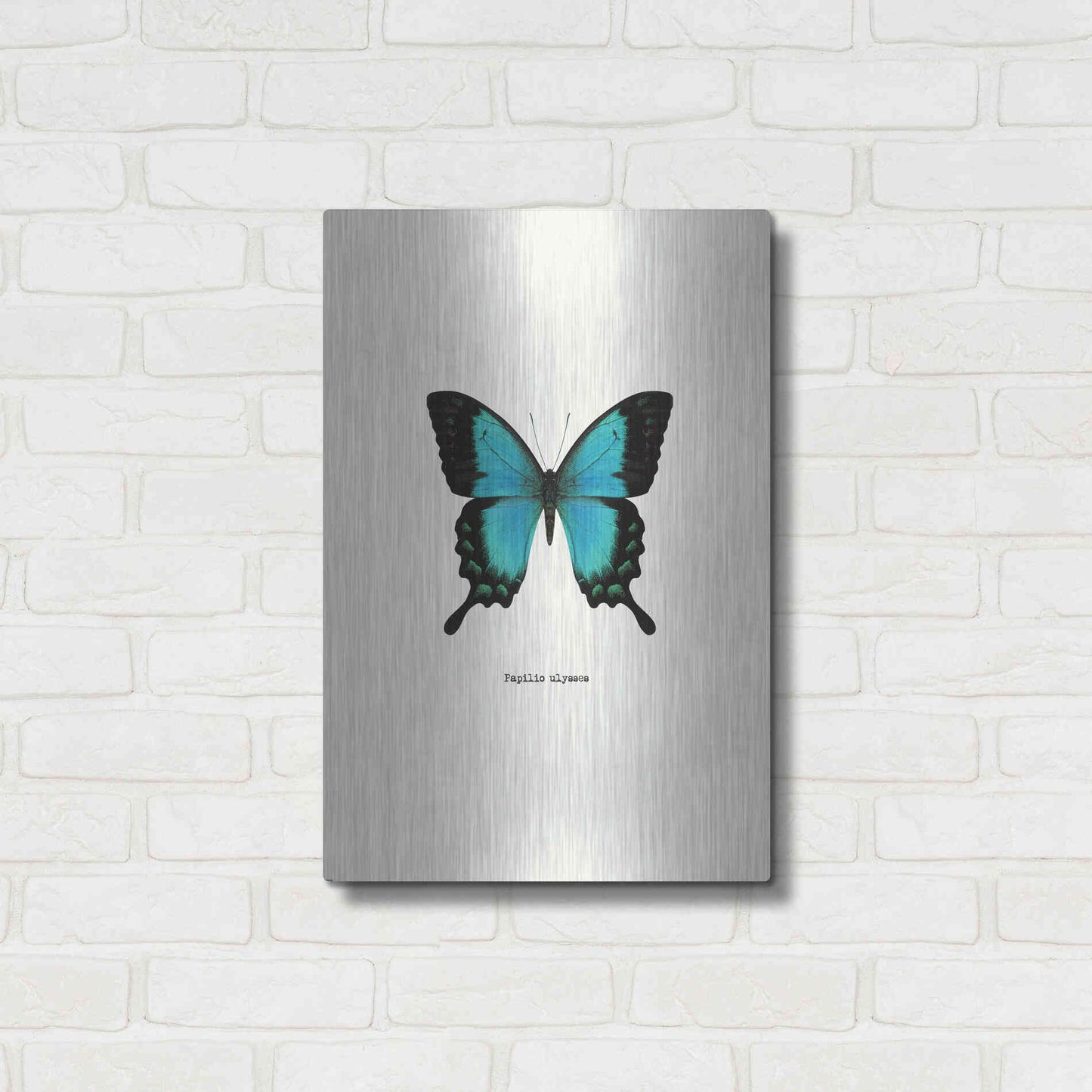 Luxe Metal Art 'Blue Butterfly' by GraphINC, Metal Wall Art,16x24